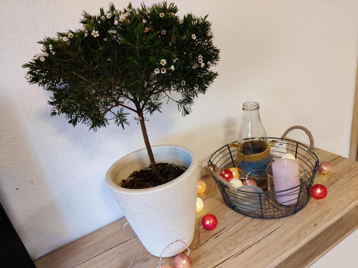 Ferienwohnung Brunow "In Der Natur Zuhause" Neundorf  Ngoại thất bức ảnh